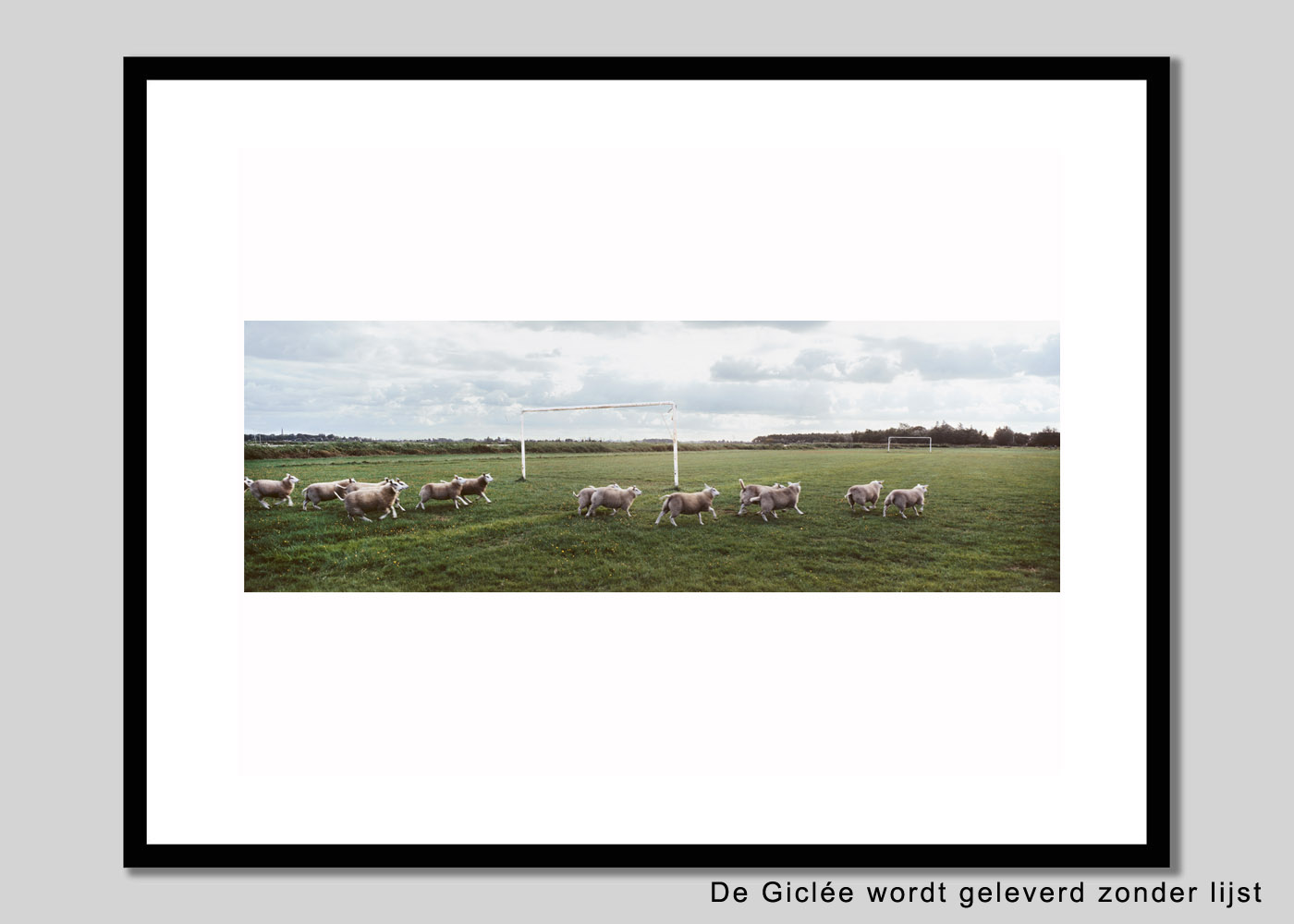 Schapen op voetbalveld